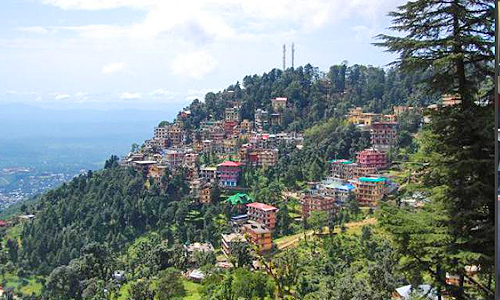 ayurveda massage therapist in mcleodganj