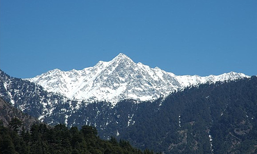 ayurveda massage therapist in mcleodganj